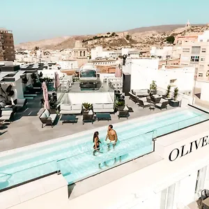https://ho-apartamentos-puerta-de-purchena.es-andalucia.com