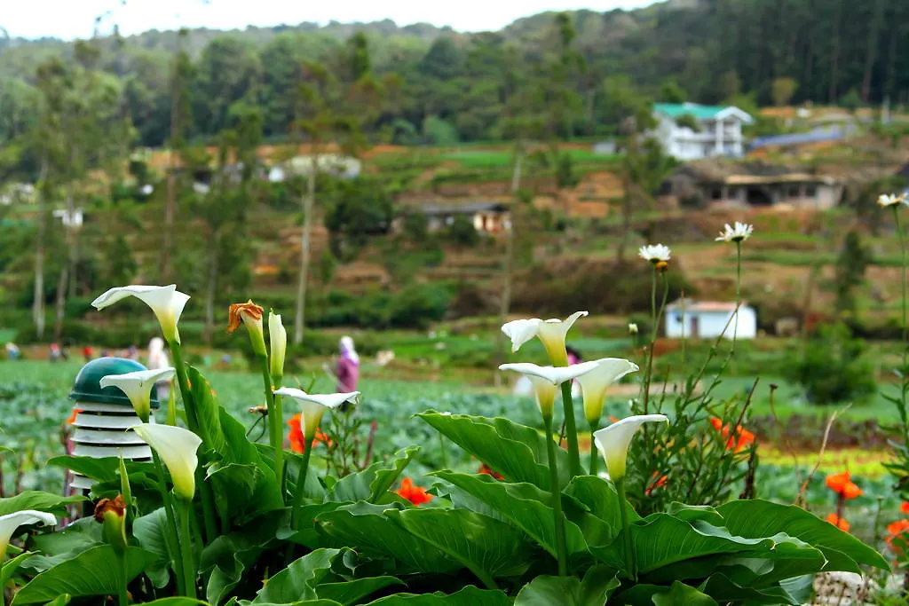 ****  Hotel Ashford Nuwara Eliya Sri Lanka